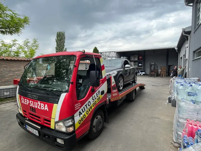 Galerija Šlep služba NM — Pančevo — slika 3