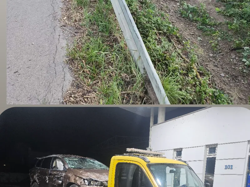 Galerija Šlep služba Čupa — slika 2