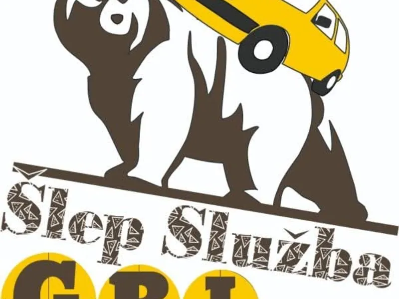 Galerija Šlep služba Zrenjanin GRI — slika 2